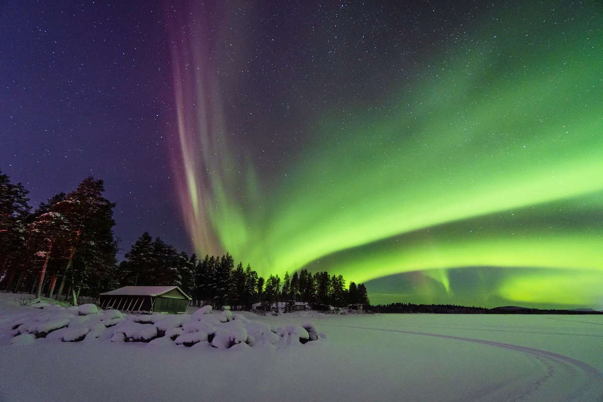 Front of zip tote bag with white canvas, black canvas straps and handle, and black zipper pulls.