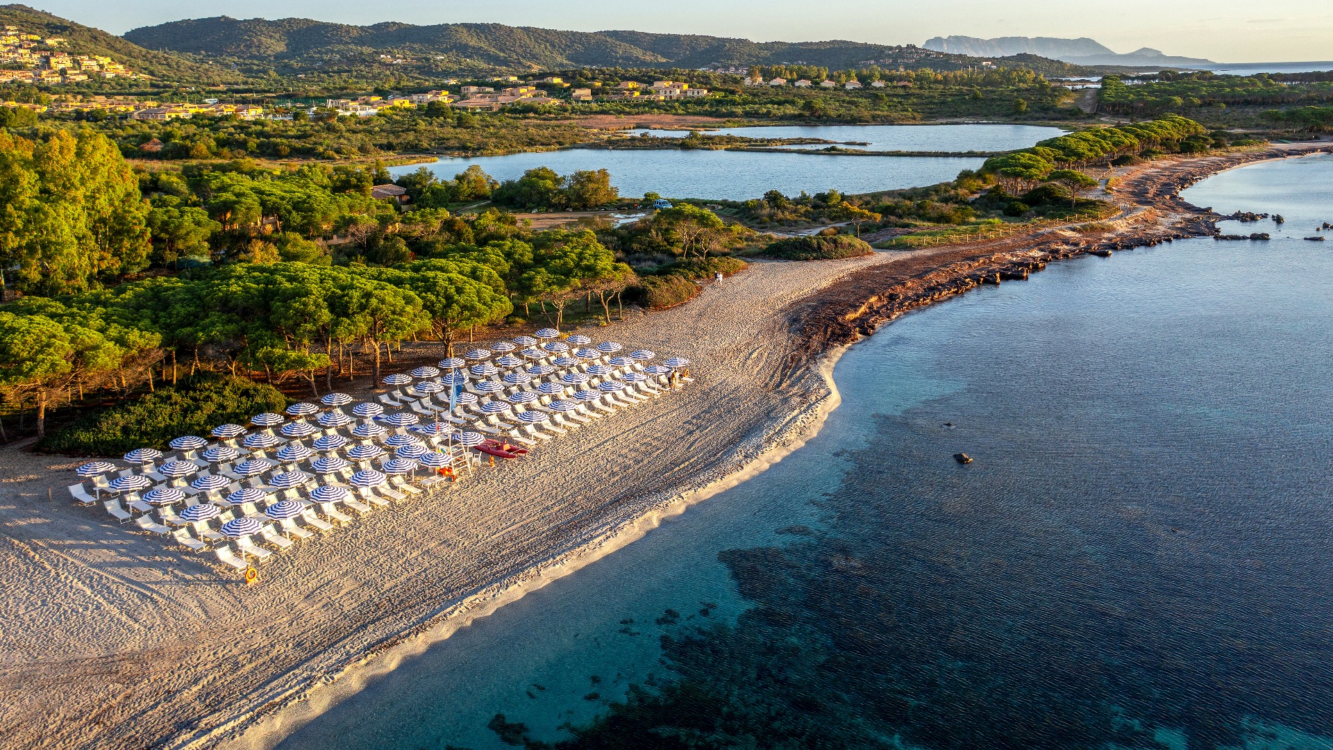 Front of zip tote bag with white canvas, black canvas straps and handle, and black zipper pulls.